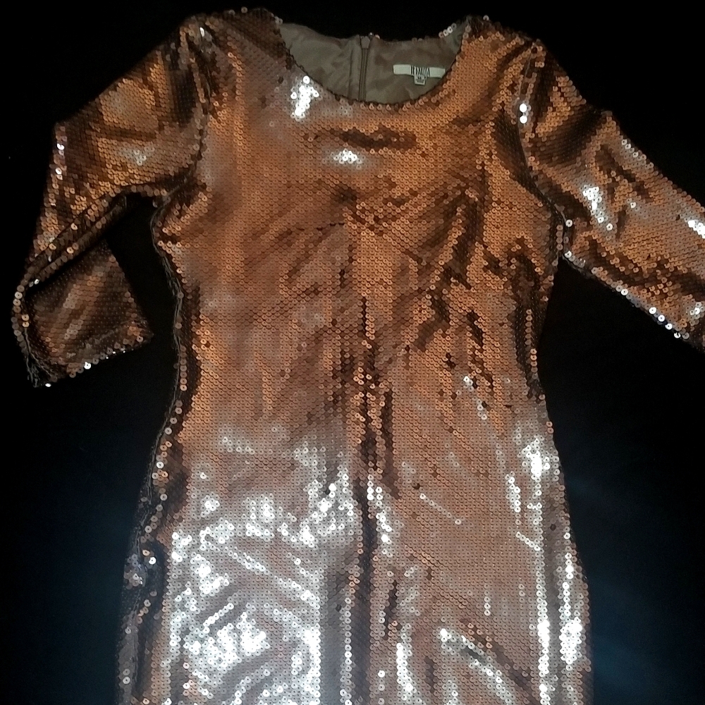 BB DAKOTA Champagne Sequin dress